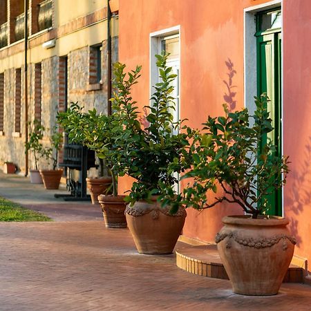 Fattoria Battilana Konuk evi Marina Di Carrara Dış mekan fotoğraf