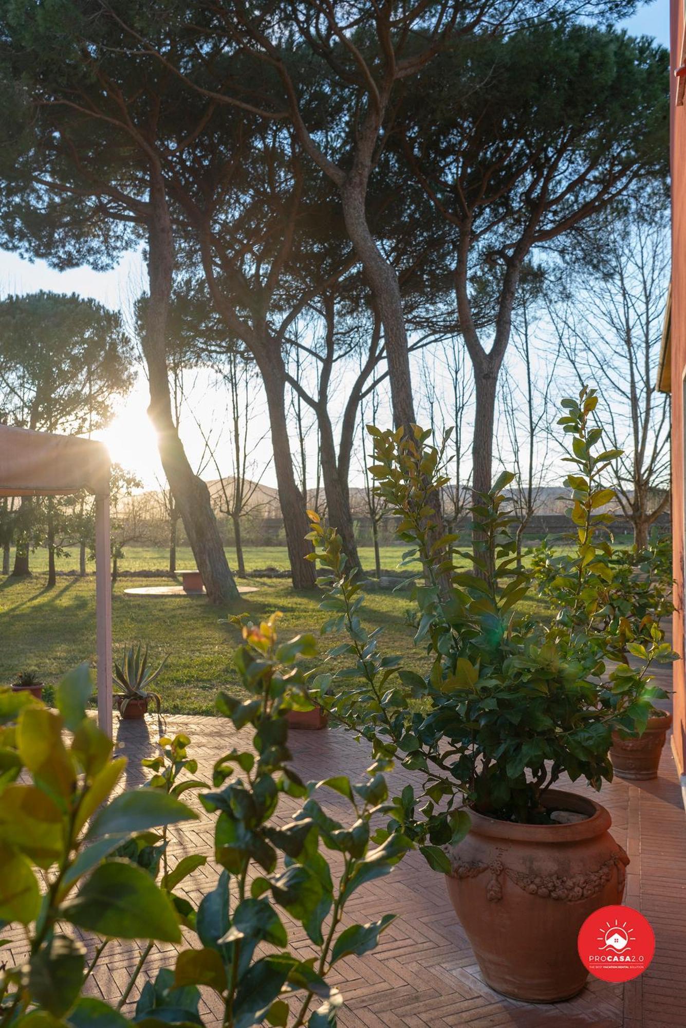 Fattoria Battilana Konuk evi Marina Di Carrara Dış mekan fotoğraf